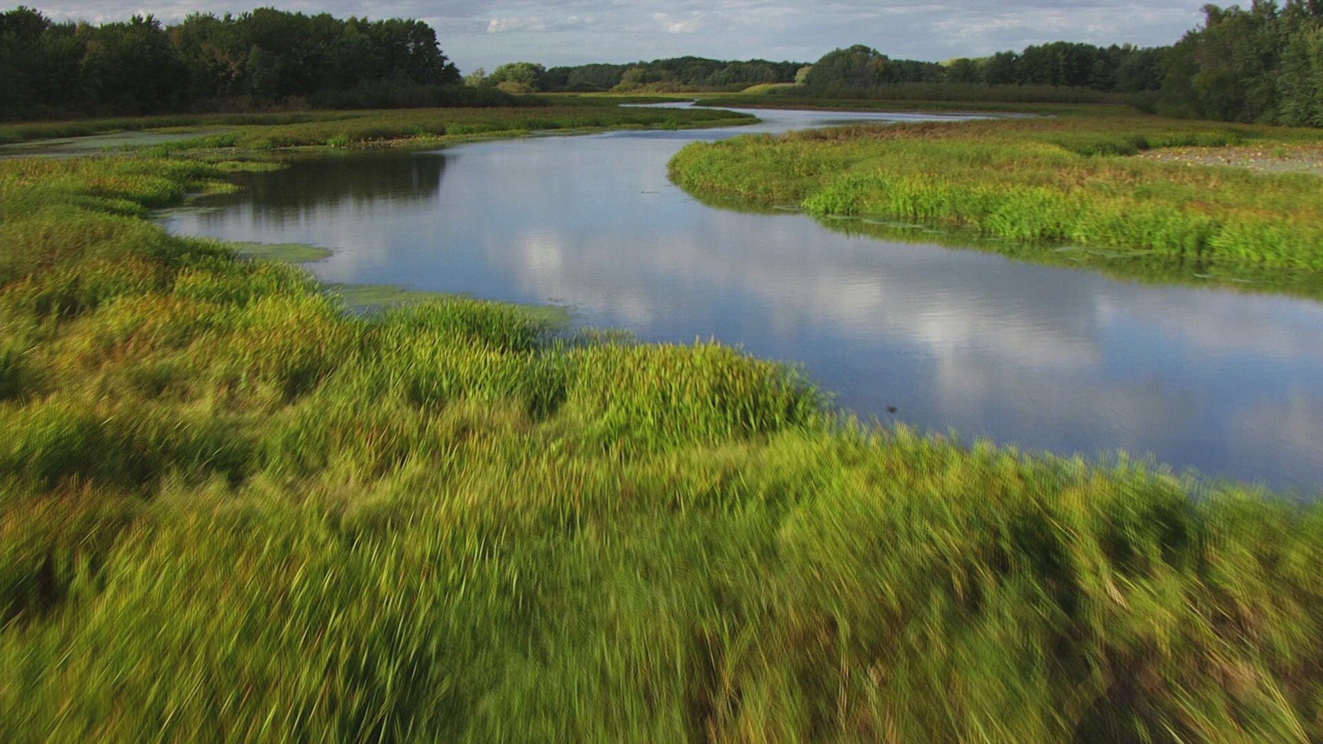 The Proof is Out There S5E4 Mississippi Bigfoot, UFO Shot Down Over Great Lakes, & Mexico's Alien Corpses