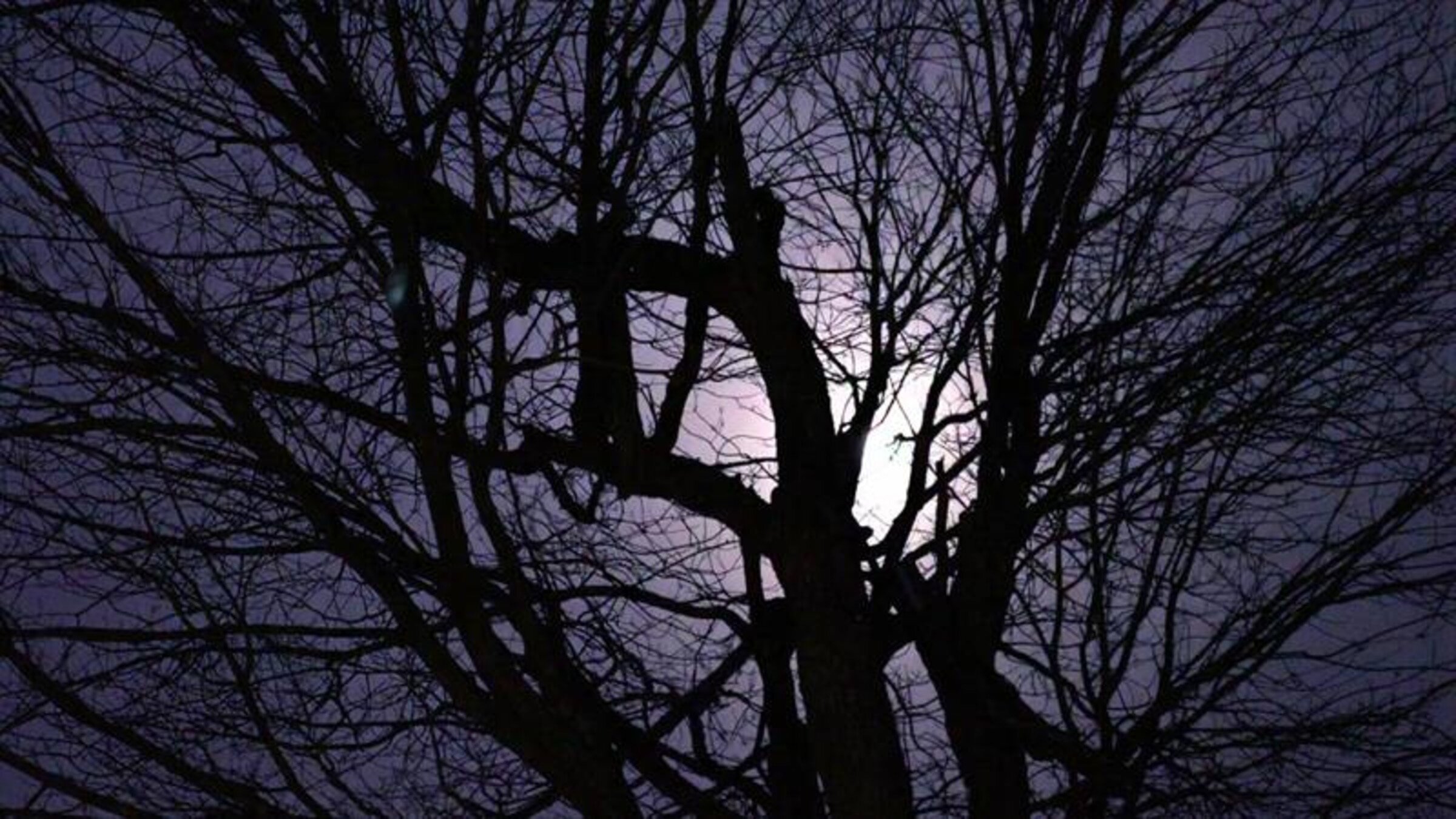 The Real Murders of Atlanta S3E14 Fatal Feud