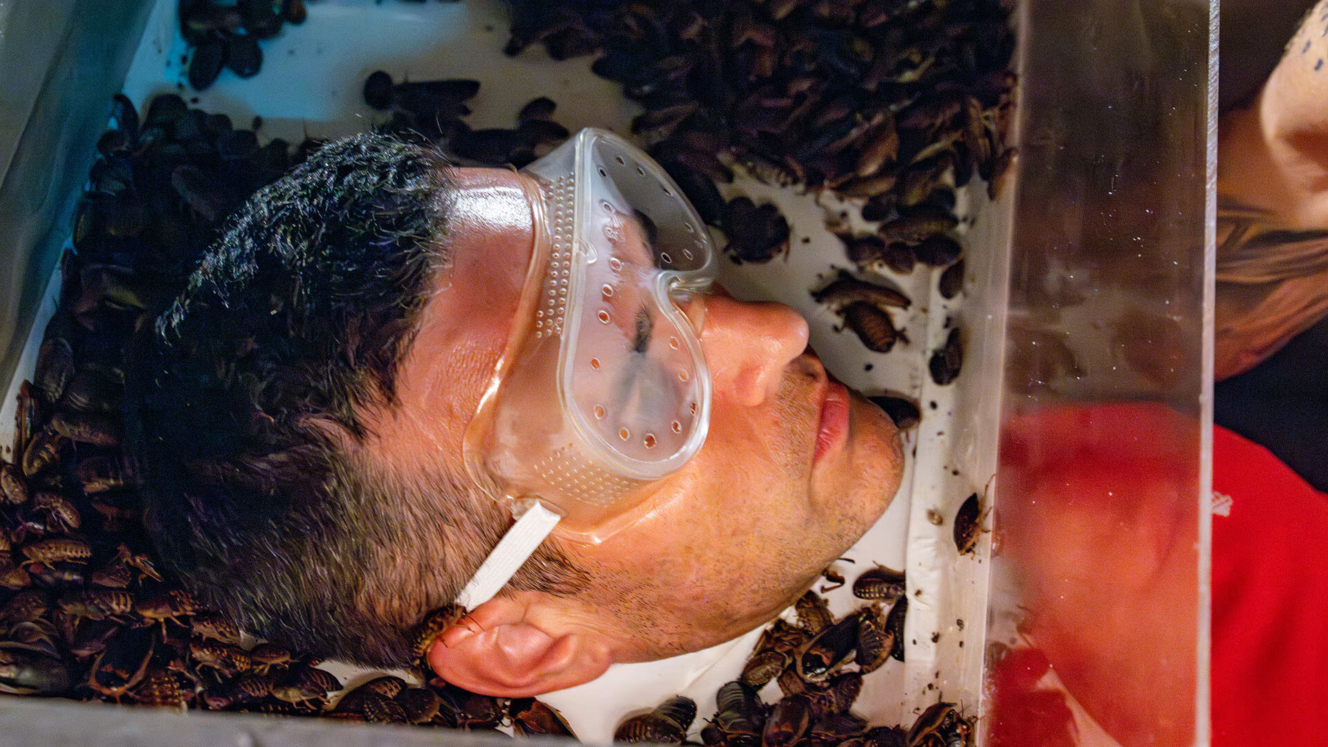 The Snake S1E3 Two-Headed Snake