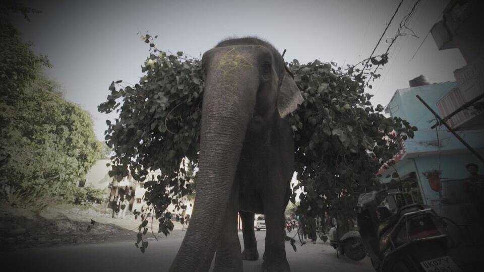 The Unbelieveable with Dan Aykroyd S2E2 Sweet Revenge