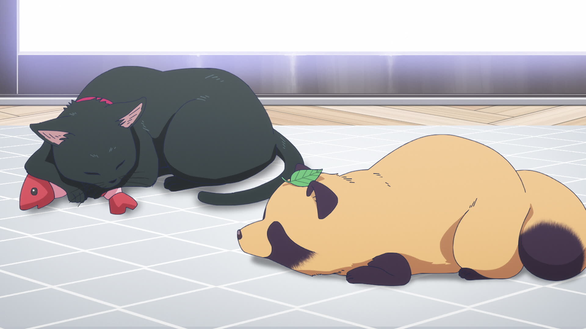 With You and the Rain S1E6 The Cat and Pumpkins